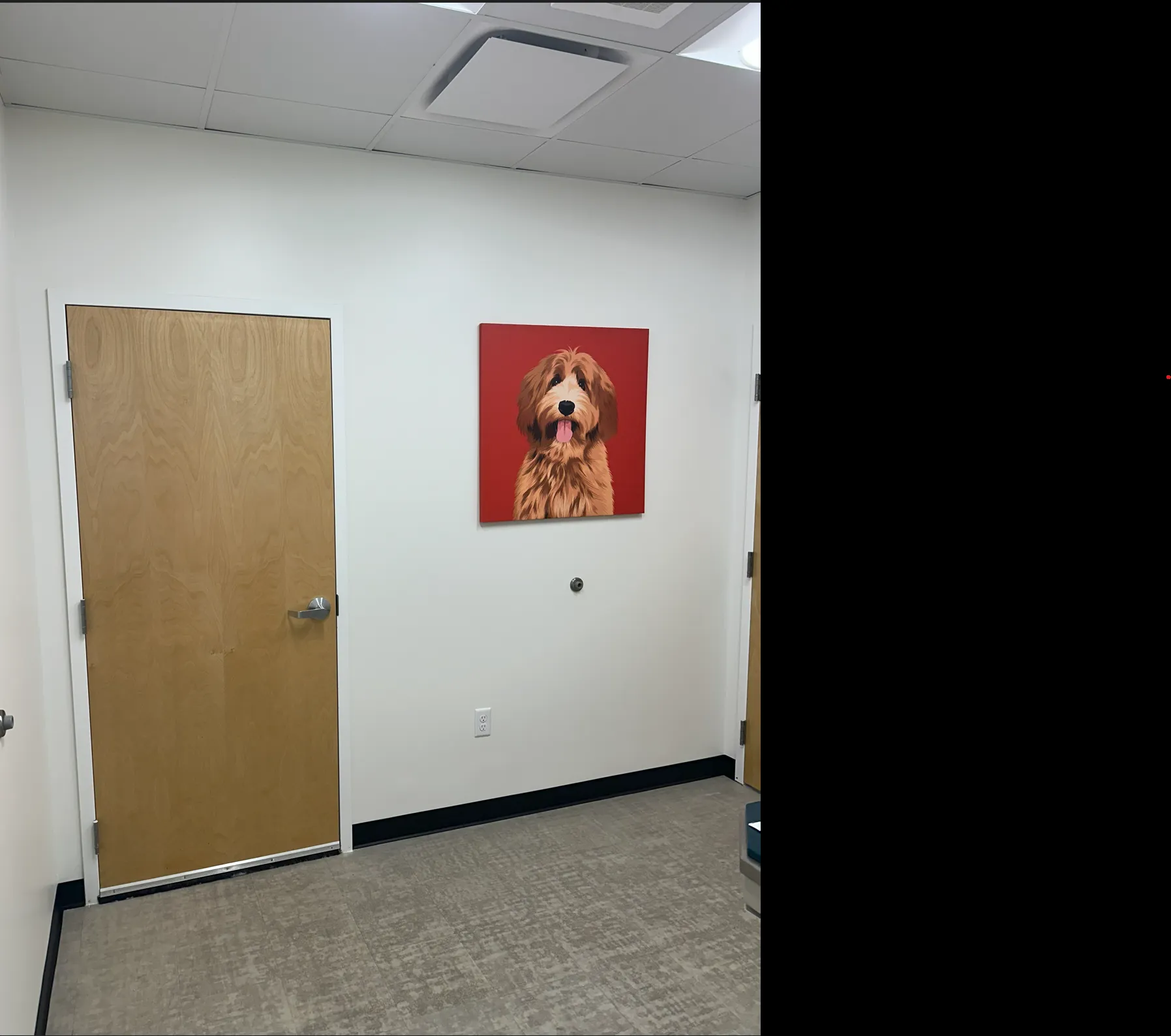 Project image 1