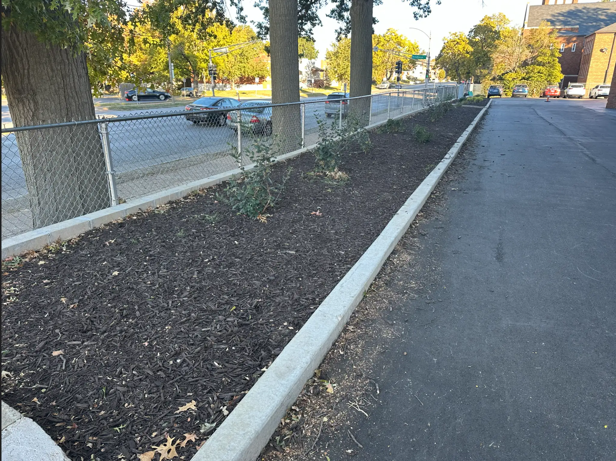 Project image 11